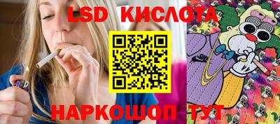 бошки Новозыбков