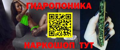 МДПВ Новодвинск