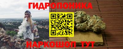 МДПВ Новодвинск