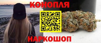 МДПВ Новодвинск